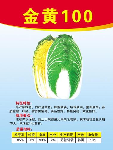 黄金100