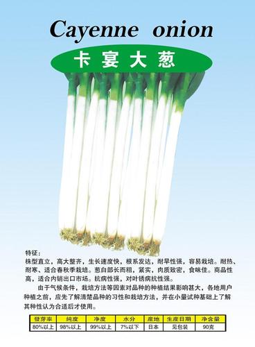 卡宴